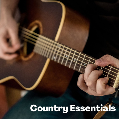 Brown Modern Country Essentials Playlist Cover